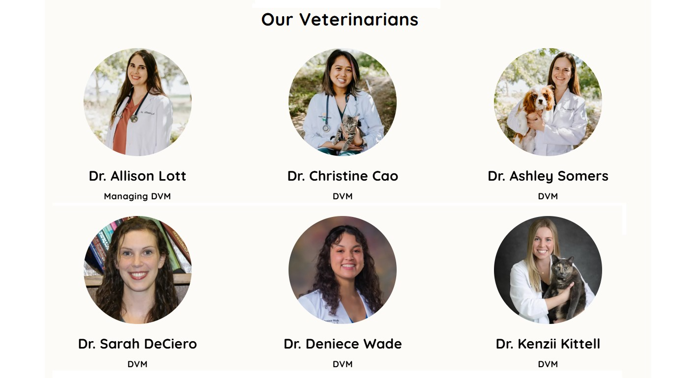 The veterinarians at Austin Vet Hospital