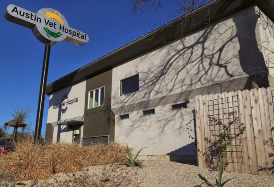 Austin Vet Hospital in Austin TX